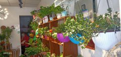 C3191鲜花店转让