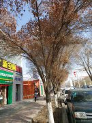 C3205门面出租 北京南路301号门面出租