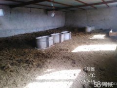 C3330养殖宅院及房屋出租