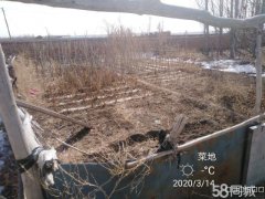 C3330养殖宅院及房屋出租