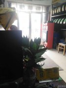 C3375十年佳通轮胎老店带货带客源急转
