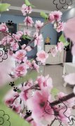 C3454捡漏！！美容院转让