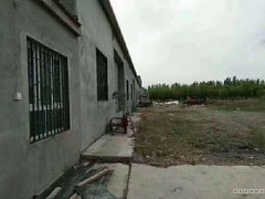 C3368厂房出租 有2处260平米小库房出租