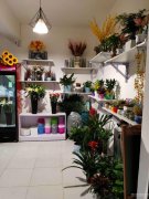 米东区市稻香南路191号中心营业中花店转让