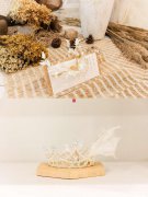 （成功案例）C3618德汇万达C1婚纱店转让
