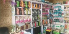 C3750动物宠物店低价转让