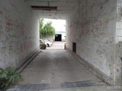 C3790昌吉市黄金地段两处沿街门面招租