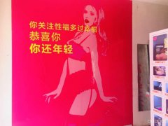 （成功案例）C3835天津路祥和北三巷成人用品店转让