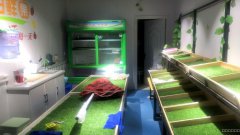 （成功案例）C4043喀什东路粮校市场果蔬店转让
