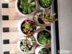 C4227店面转让 位于昌吉市宁边西路香格里拉小区