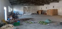 C4252厂房院落房屋出租