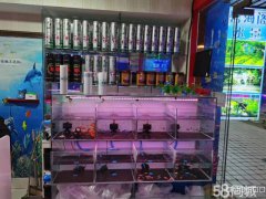 C4301店面转让 位于昌吉市乌伊西路亚中商城内水域市场