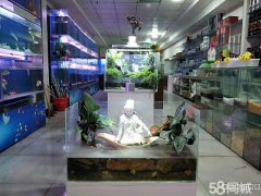 C4301店面转让 位于昌吉市乌伊西路亚中商城内水域市场
