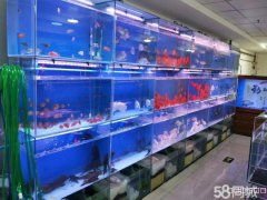 C4301店面转让 位于昌吉市乌伊西路亚中商城内水域市场
