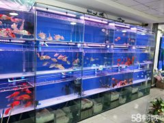 C4301店面转让 位于昌吉市乌伊西路亚中商城内水域市场