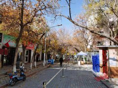 C4474新市区科学院科学一街警务站旁营业中小儿推拿养生理疗
