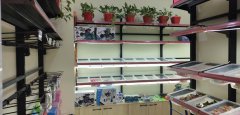 C4496库尔勒市金汇莱3楼儿童游乐区营业零售店转让