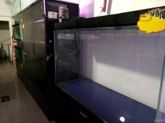 C4534昌吉市价值三十万观赏鱼店十万赔钱转让
