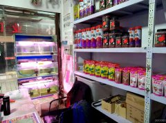 C4534昌吉市价值三十万观赏鱼店十万赔钱转让