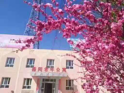 奇台县義阳老年公寓常年招收