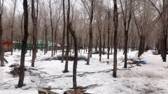 （成功案例）C4805石人沟水库6队金碟谷农家乐转让