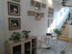 C4849店面转让  位于昌吉市南公园西路八小对面