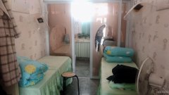 C4944嘉和园旺铺转让