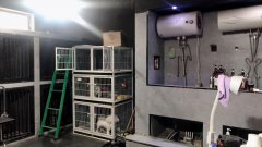 C4964米东区荷兰小镇宠物店转让