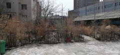 （成功案例）C5139米东区米古里商业街独立农家小院出租