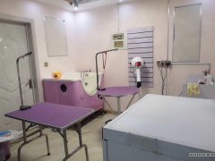 C5268万科金域华府二期宠物店出租