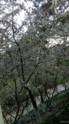 （成功案例）C5520米东区太平渠纸板厂库房出租