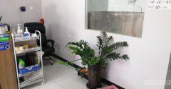 C5571新市区蓝调一品B区2栋营业中加盟品牌宠物店转让