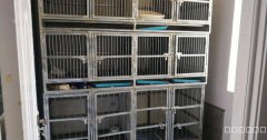 C5571新市区蓝调一品B区2栋营业中加盟品牌宠物店转让
