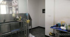C5571新市区蓝调一品B区2栋营业中加盟品牌宠物店转让
