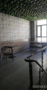（成功案例）C5597昌吉市米兰春天餐饮一条街营业中雷二烧猪