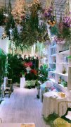 （成功案例）C5824苏州东街肿瘤医院对面花店转让