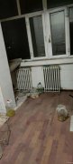 C6699房屋出售 米东区石化十二区28号楼
