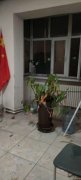 C6699房屋出售 米东区石化十二区28号楼