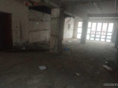 C5555商铺出租出售