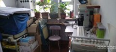 C7003红星东路图文店转让