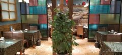 C7039人民路20中学附近大型餐饮转让