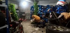C7427营业中汽车会所转让