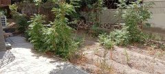 C7539出售 长宁小区内进出口处路口住宅下住宅商铺