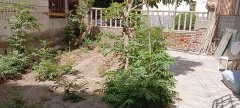 C7539出售 长宁小区内进出口处路口住宅下住宅商铺