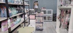 （成功案例）C7774机场航空嘉园45平DUJIA宠物店转让