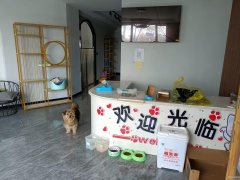 C8274位于阜康市瑶池明珠北门临街200平店面转让