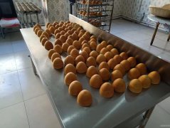 C8653八道湾振安街165平俄罗斯风味奶香烤馒转让