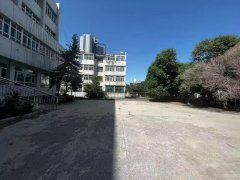 C8655昌吉市双主干道交汇处整栋楼出租