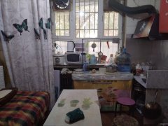 C9556米东区安居小区33平炒货食品店低价急转