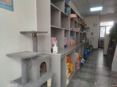 C7423文化宫豫东巷宠物店转让